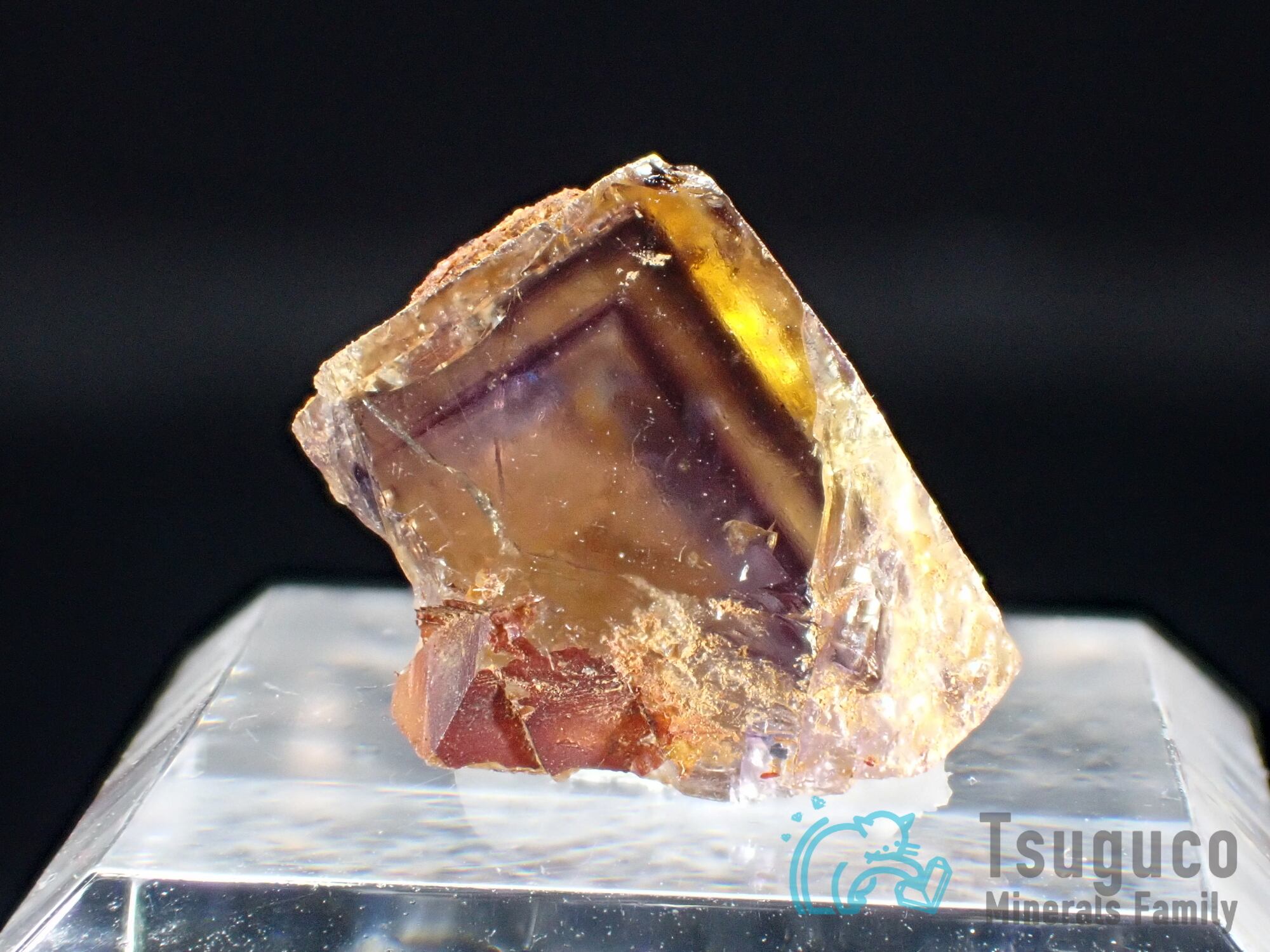 フローライト 蛍石 ドイツ TM-555 | つぐこみねらるず ｜鉱物・原石