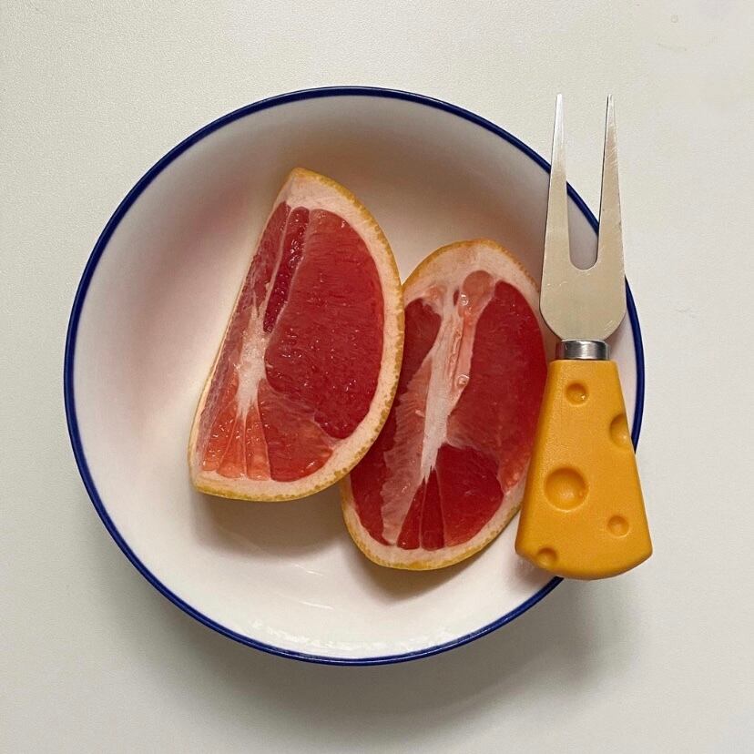 Yummy Cheese Fork hydrangea