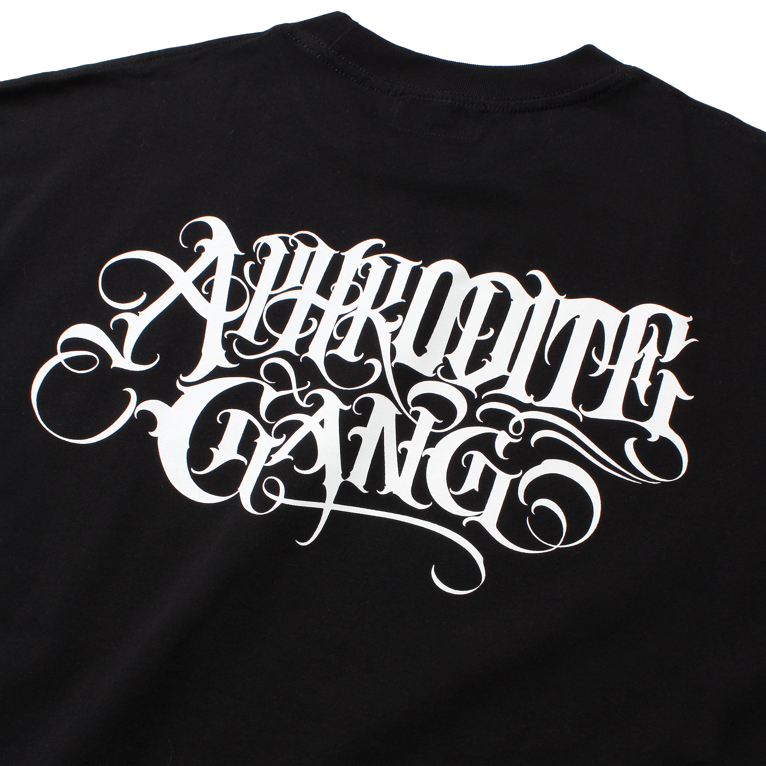 GRAPE BRAIN × BUDSPOOL S/S TEE (TYPE-2) | APHRODITEGANG HOLDINGS