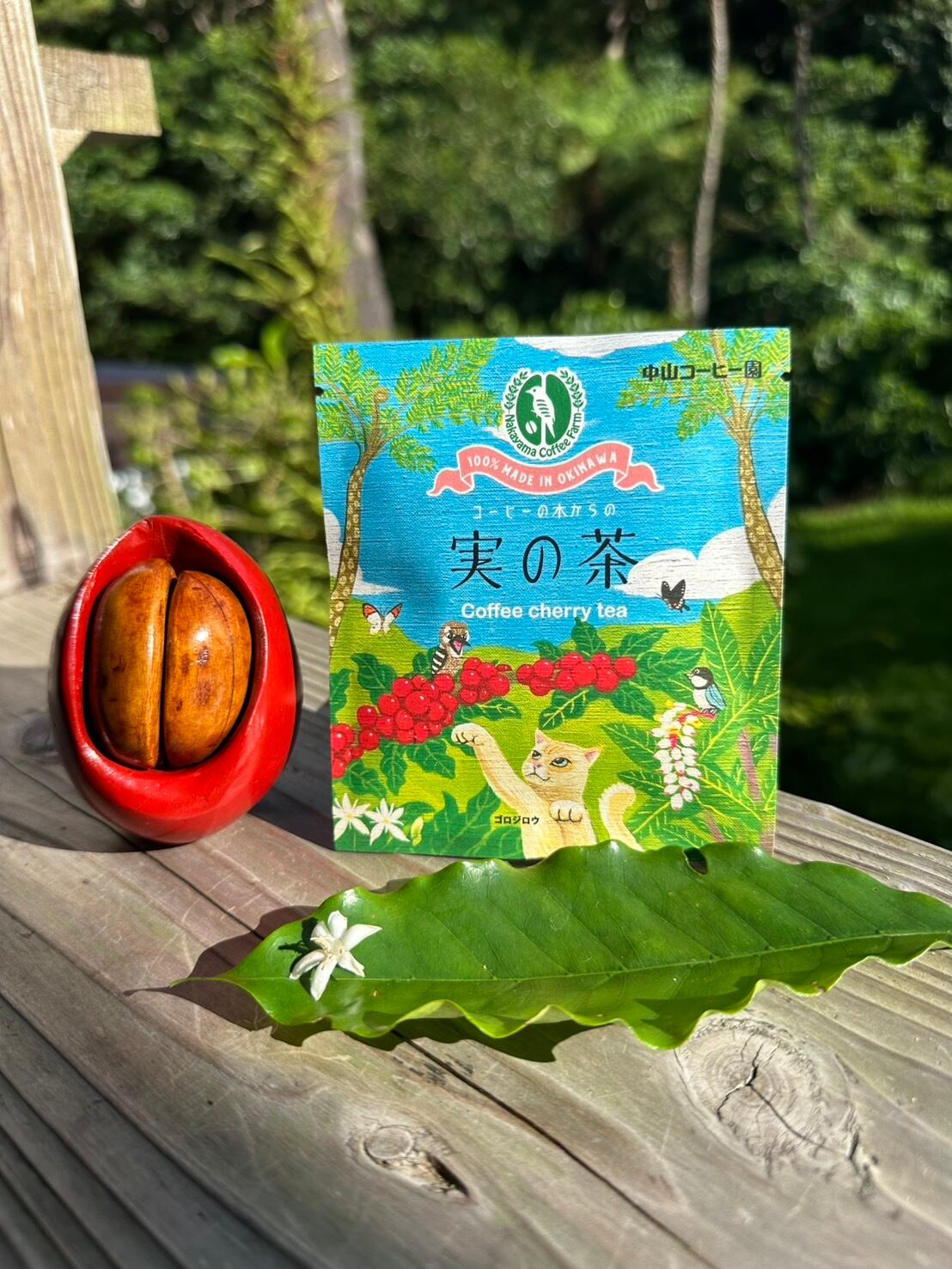 コーヒーの実の茶 コーヒーチェリーティー 1個入り×6個 | 中山コーヒー