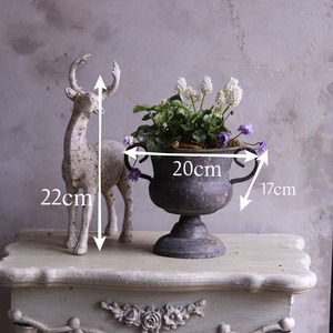 mondimanche 寄せ植え　ムスカリとすみれのシャビーカップ｜届いてすぐ玄関に飾れる 　プレゼントにもオススメ　