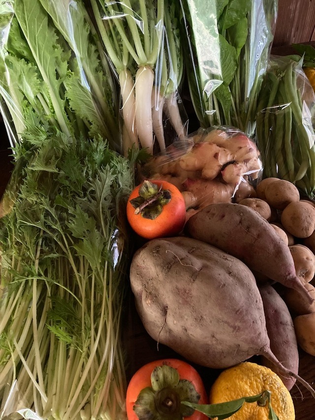 K.T様ご予約分・お野菜セット