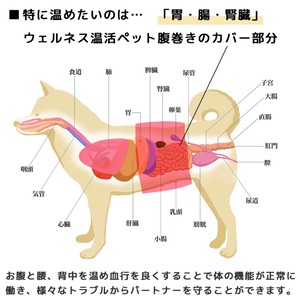 UNAGE アンエイジ　DAMON ウェルネス温活ペット腹巻き