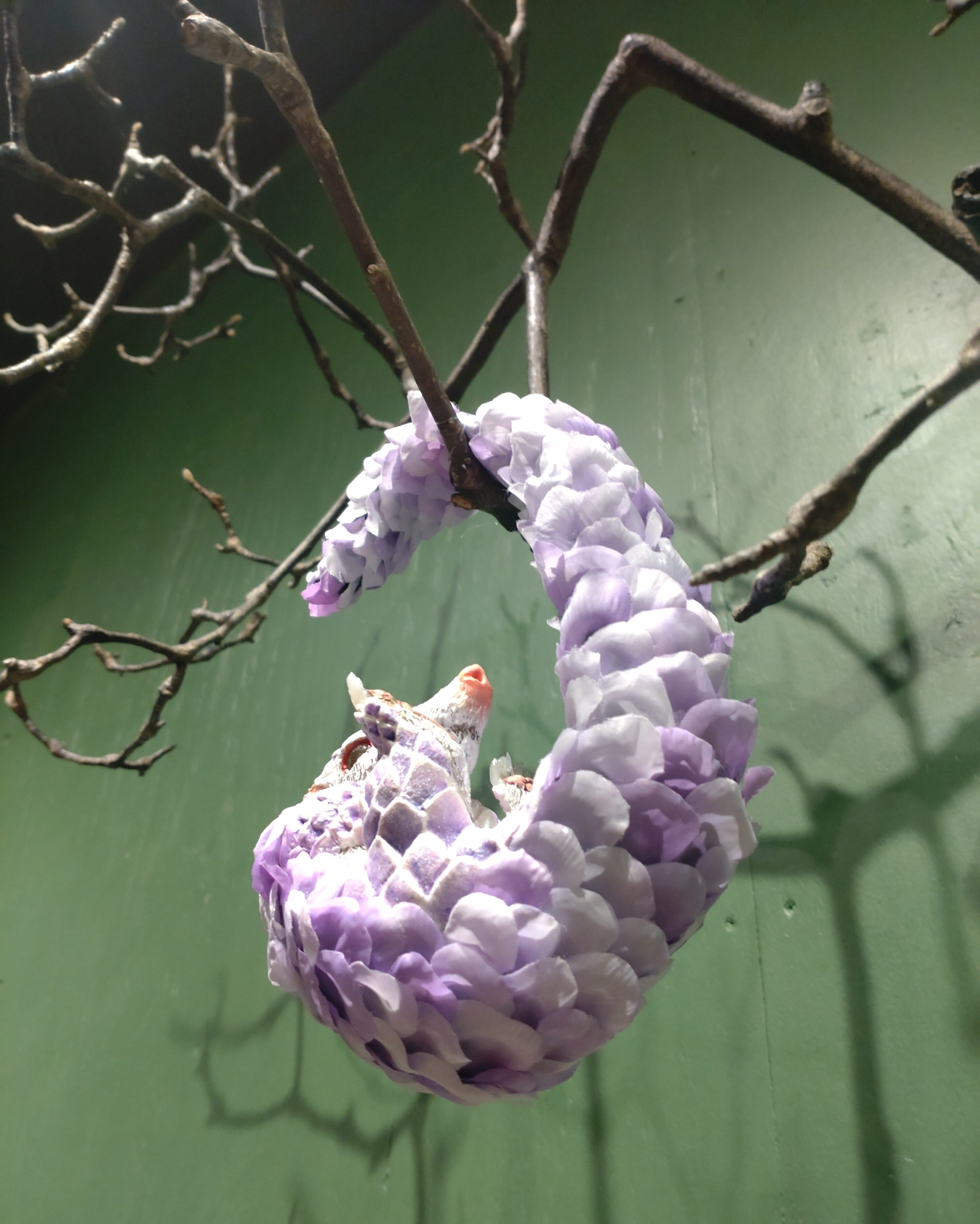 ヨウム レジンヘアゴム 肖像画みたいな雰囲気 No 651❣️レジン