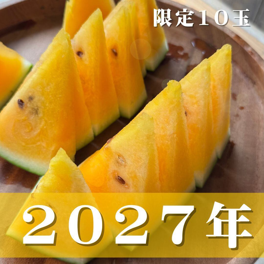 【来年の予約】すず丸スイカ金 -GOLD-