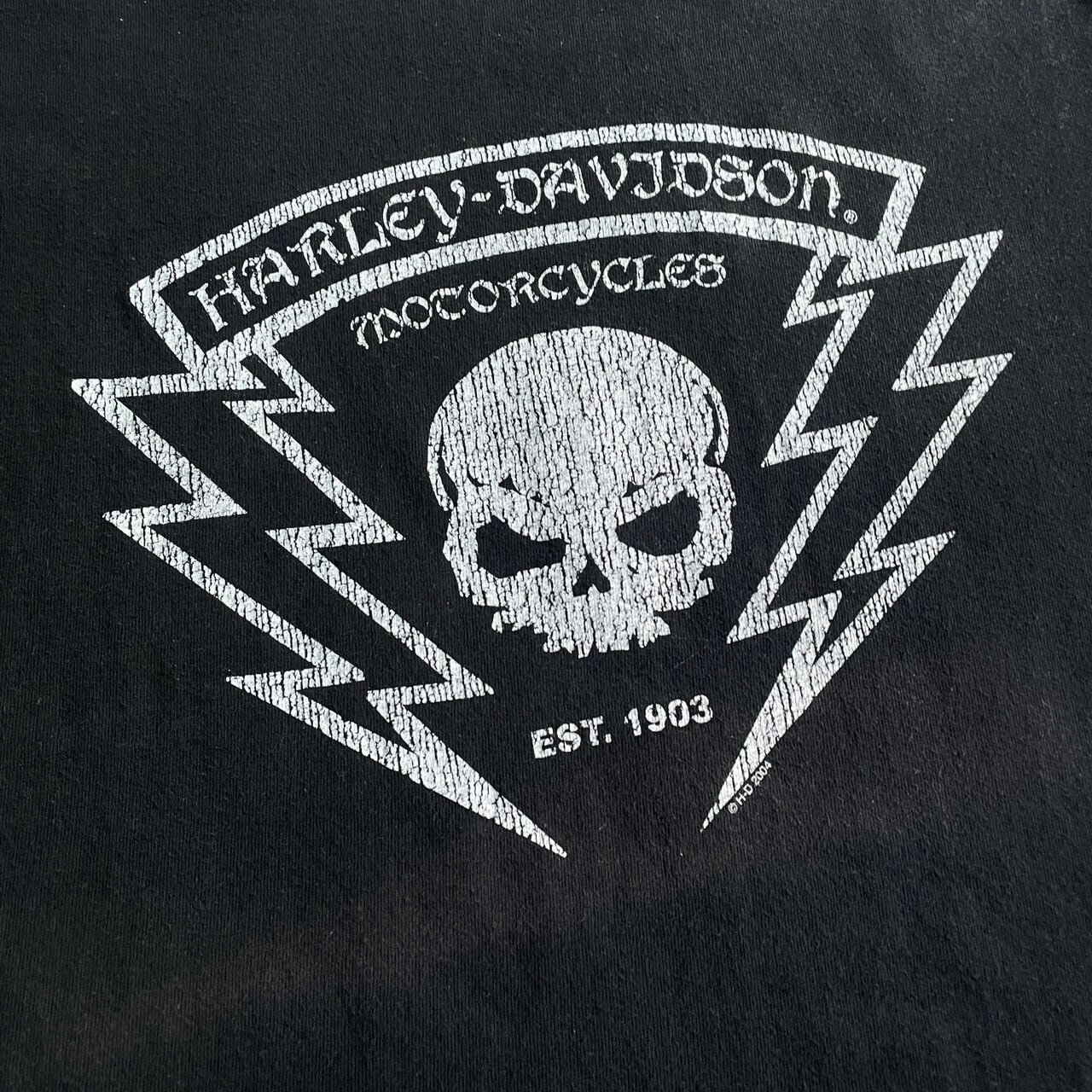 【希少4XLサイズ】ハーレーダビッドソン　スカルロゴ　両面プリント　Tシャツ