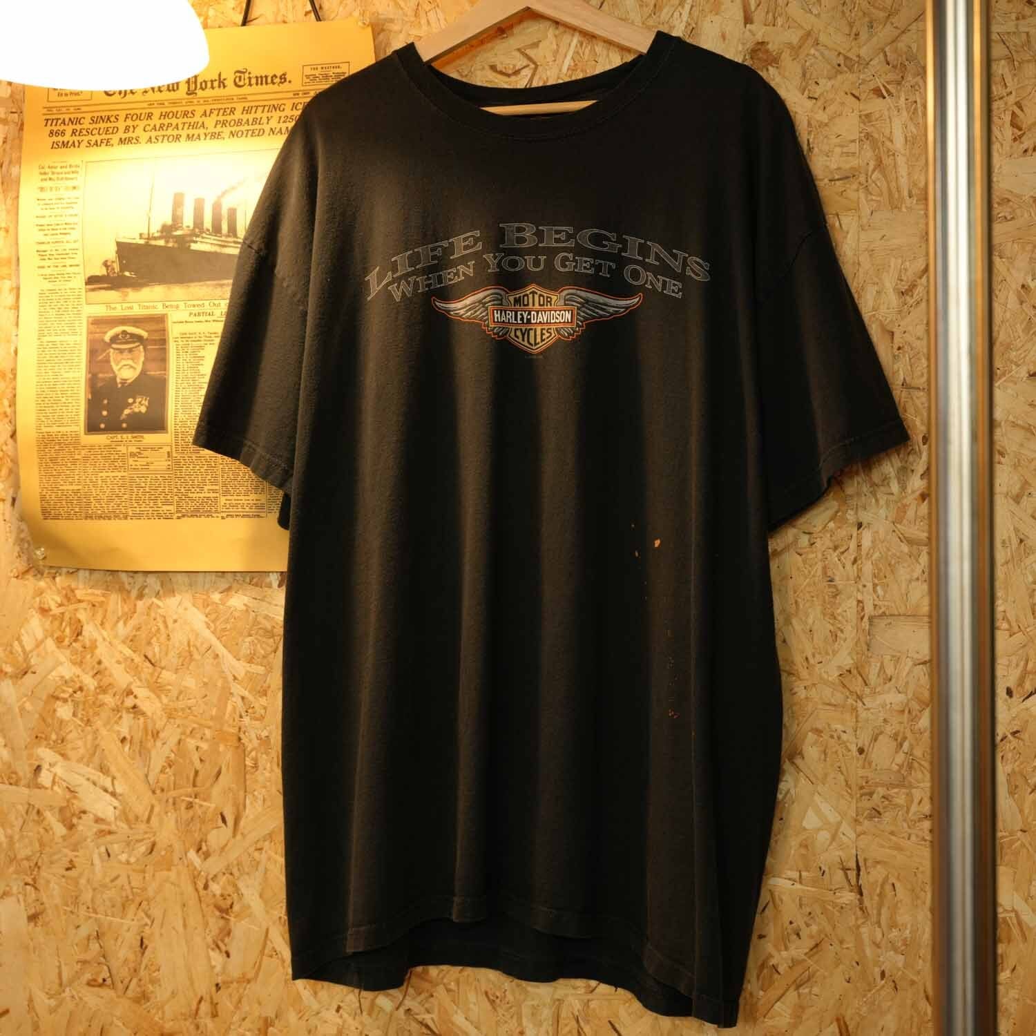 80's HARLEY DAVIDSON SKULL & NUDE ハーレー スカル & ヌード