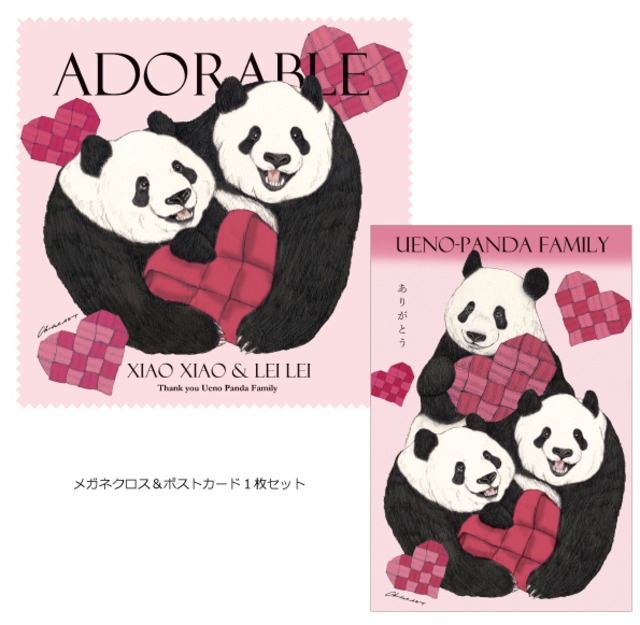 ◆限定枚数◆オンラインのみ販売◆タケノコシャンメガネクロス