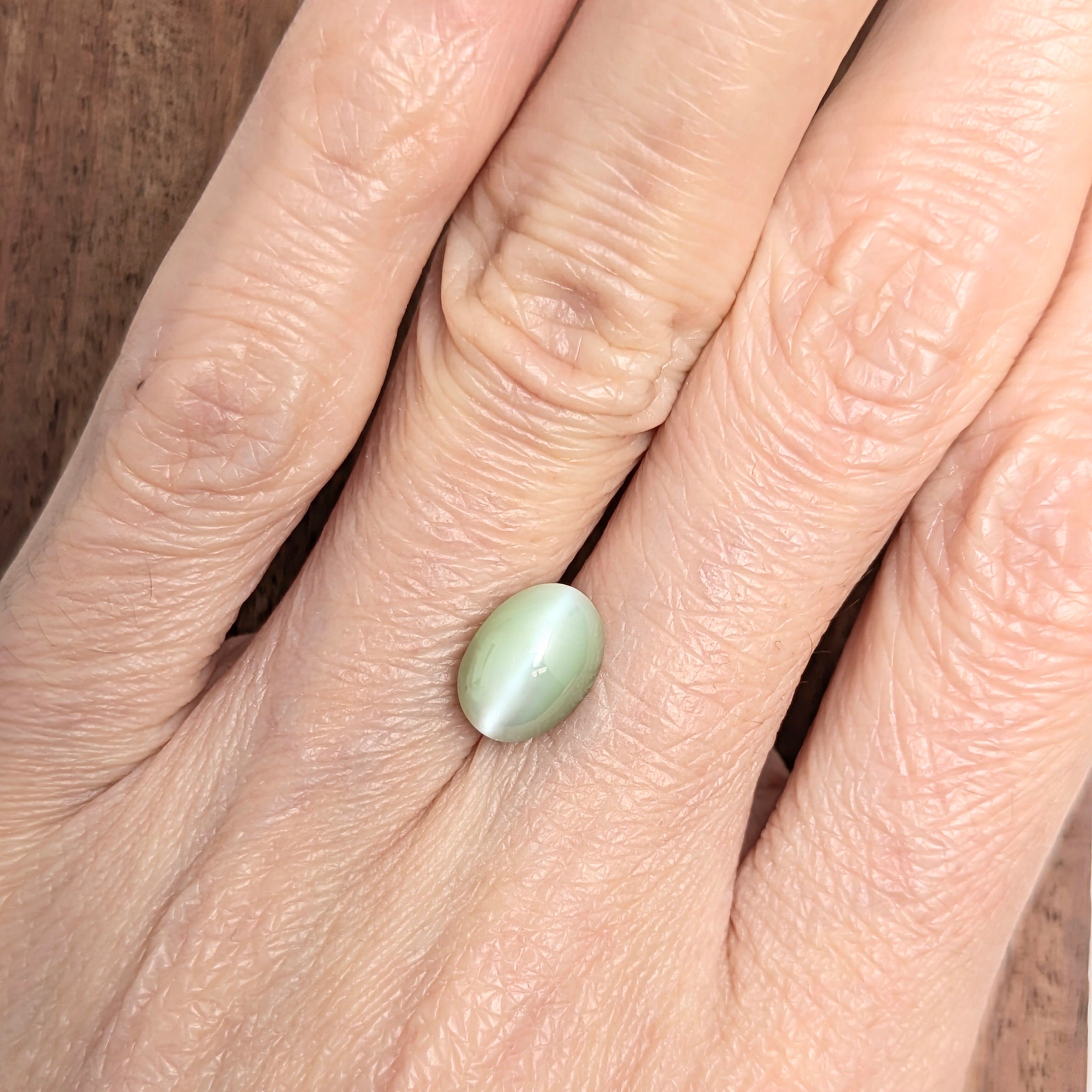 クリソベリルキャッツアイ ルース 7.5x5.9x4.6mm、1.977ct | 天然 