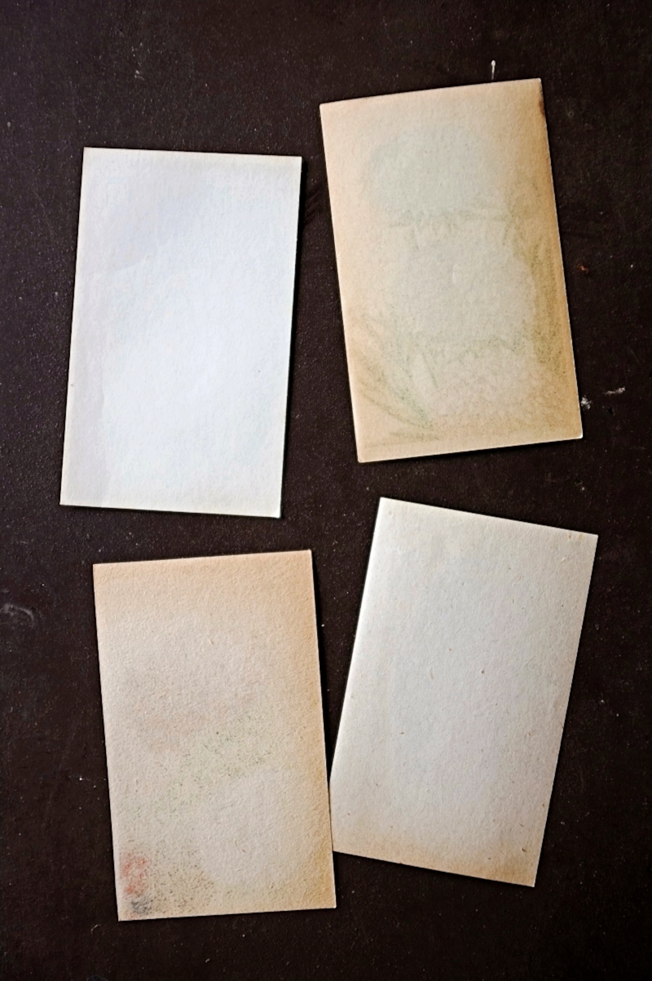 20s フランス 4set 膨満な花々と野菜たち 種子袋用ラベルc アンティーク