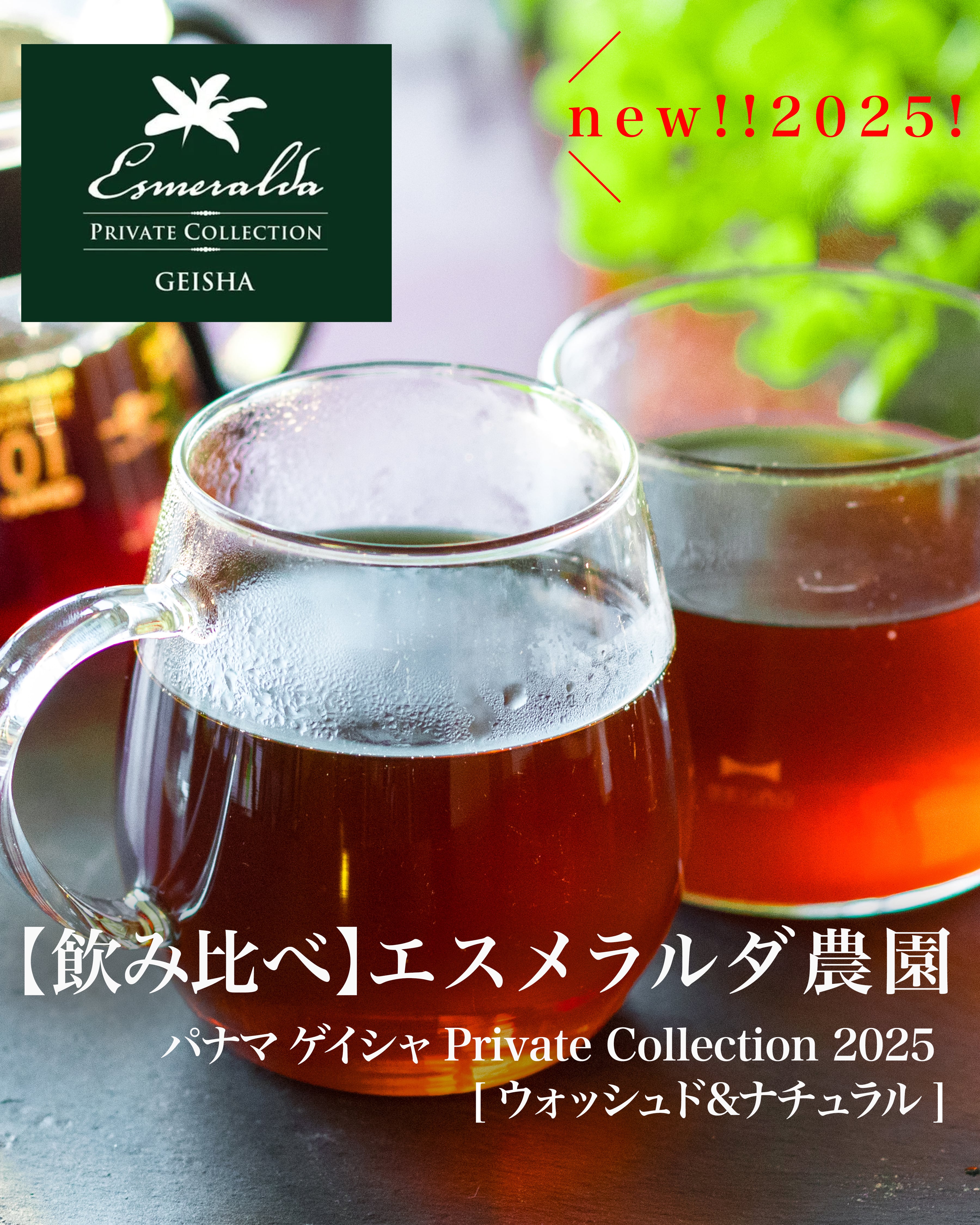 飲み比べ】パナマ エスメラルダ [ウォッシュド&ナチュラル] Private