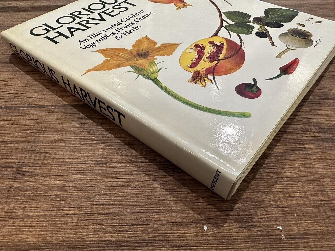VW166】Glorious Harvest: an illustrated guide to vegetables