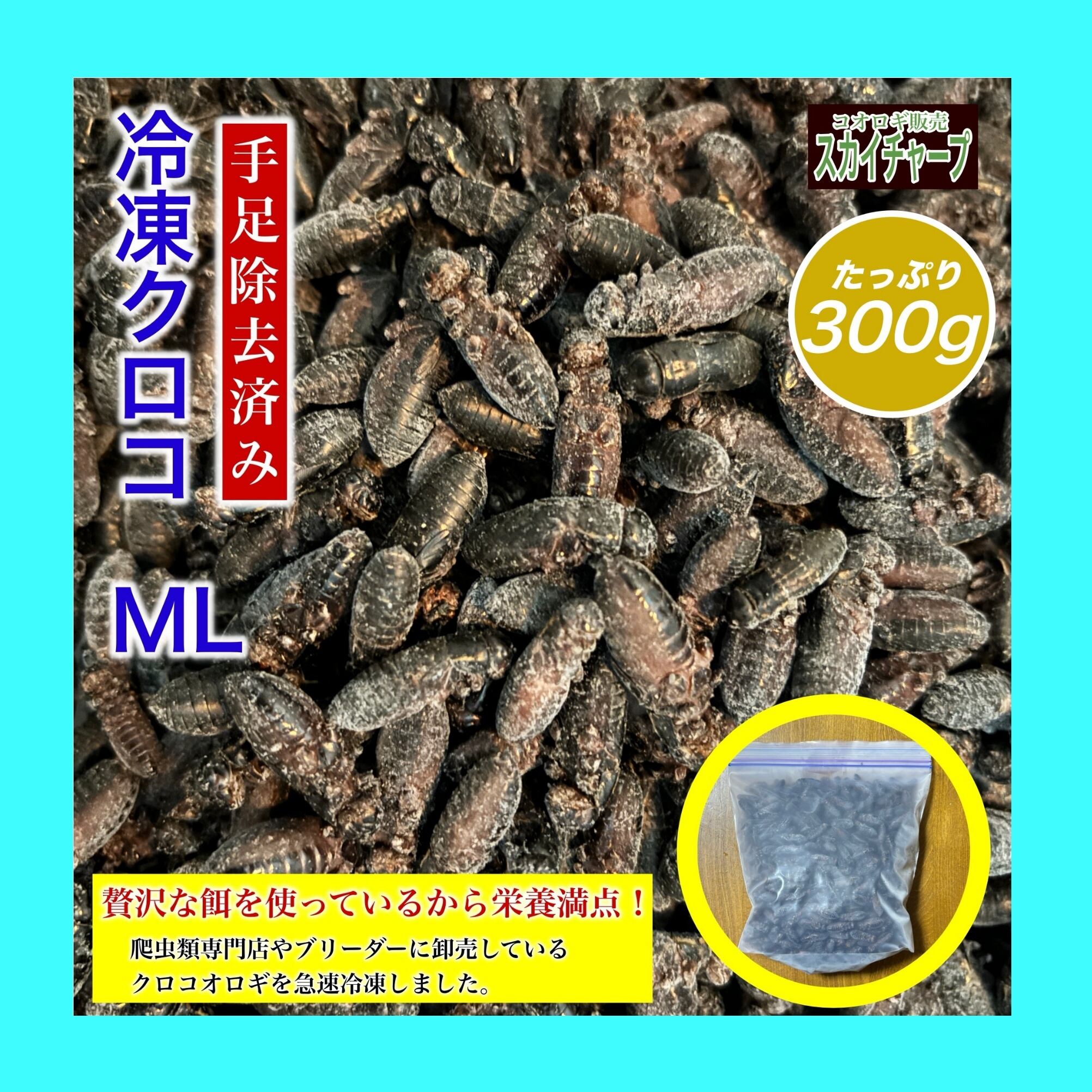 冷凍クロコオロギ 1kg メガサイズ約1000匹 | Coco Colors クロコオロギL 約