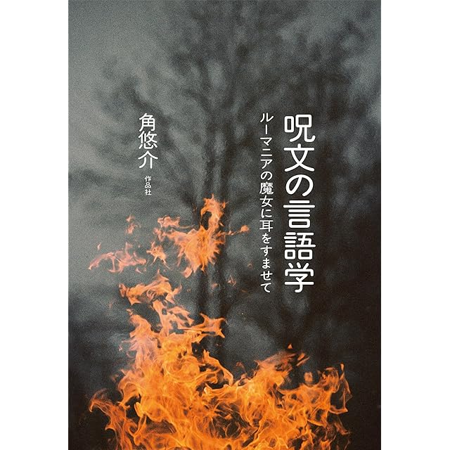 REVELATIONS: Tsurisaki Kiyotaka（釣崎清隆） | PAY ID
