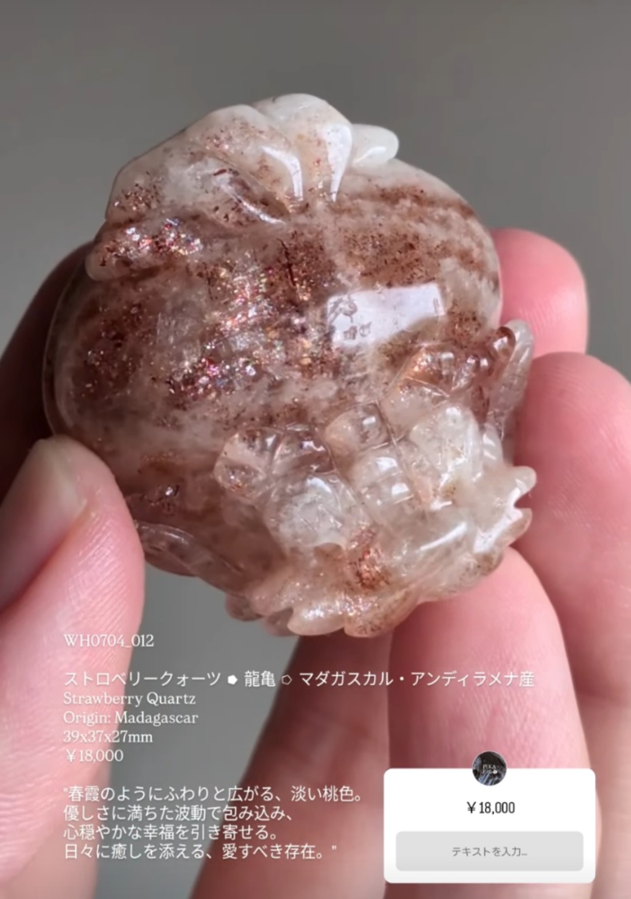 ⭔ お客様専用ページ ✦ milkypink.cat