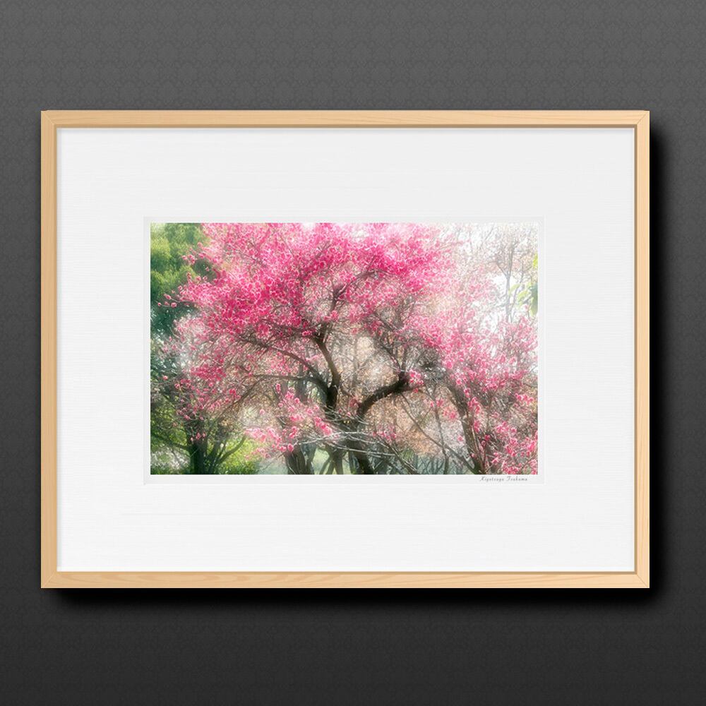 春爛漫 ■額縁サイズ(大全紙)726×544mm