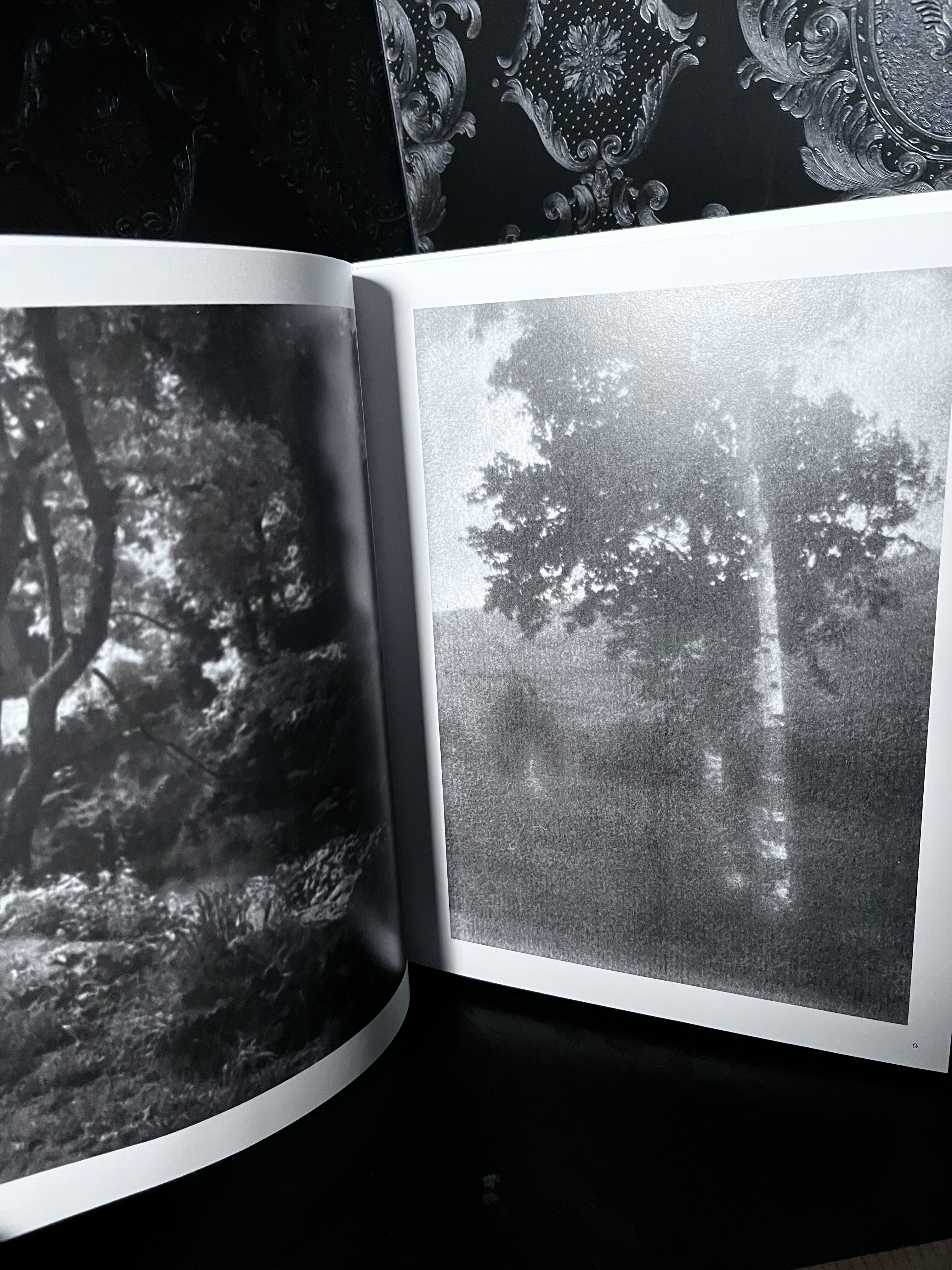 中山岩太 MODERN PHOTOGRAPHY | zbooks
