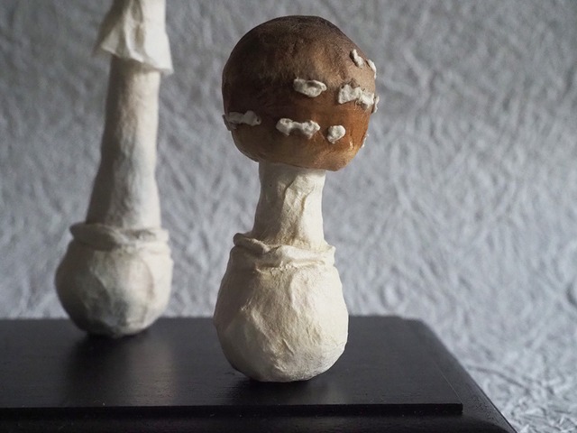 内藤瑠里　和紙のきのこ模型 ” テングタケ "