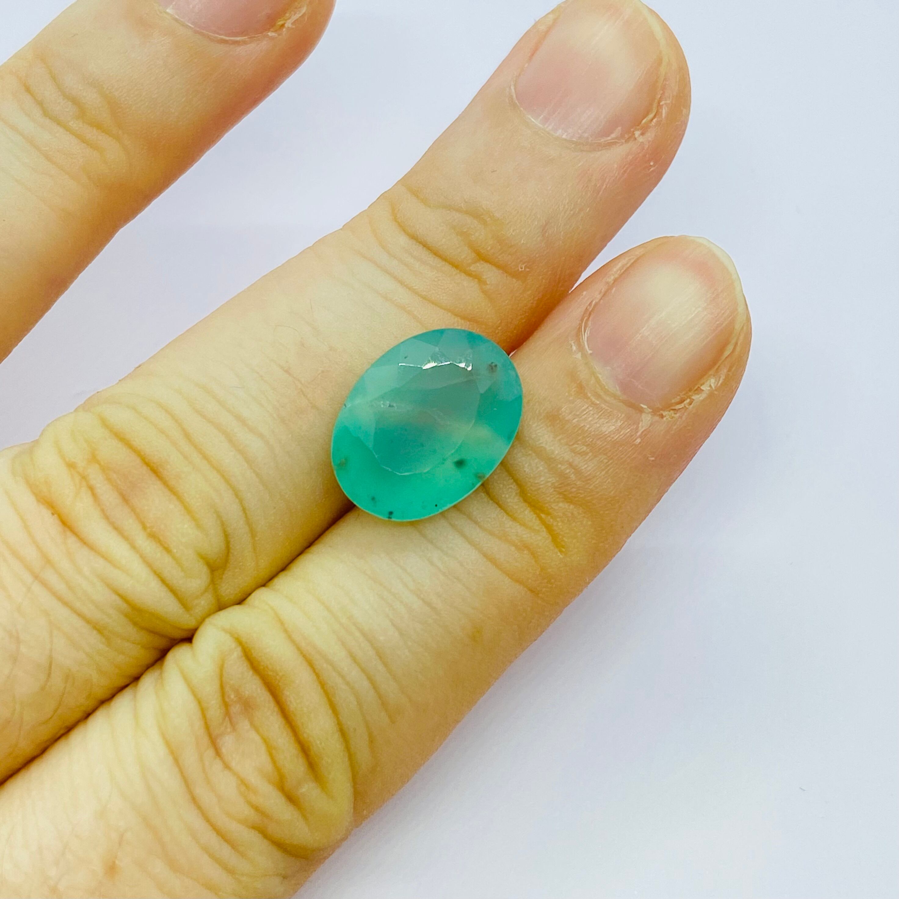 景色の見えるアクアプレーズ