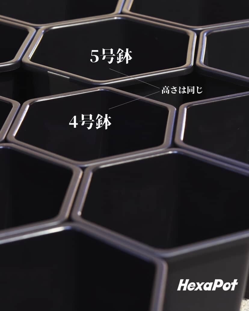 HexaPod 4号 【5個セット】 | one4