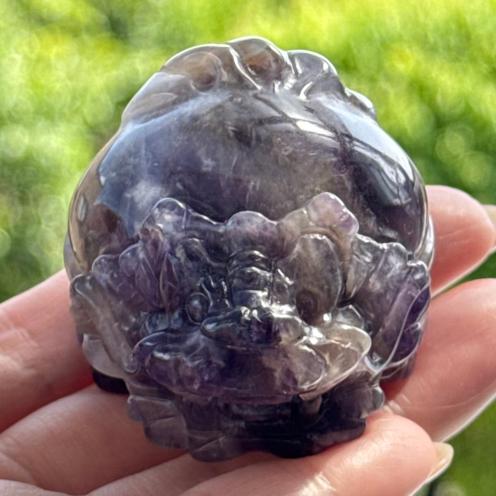 フローライト 笑口 亀 フローライト 笑口 亀 フローライト 笑口 亀 フローライト 笑口 亀 高