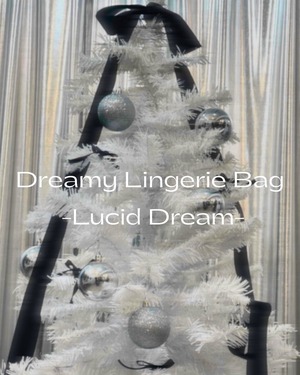 Dreamy Lingerie Bag -Lucid Dream-