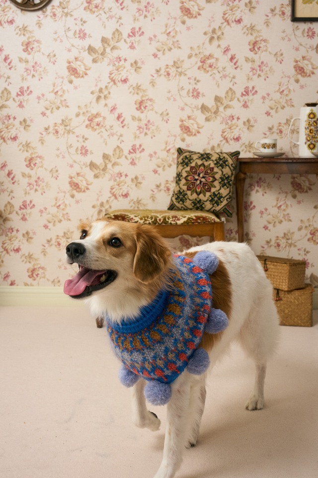 Multi Lab ポンポン付きニットケープ④Mサイズ〖 即納 〗