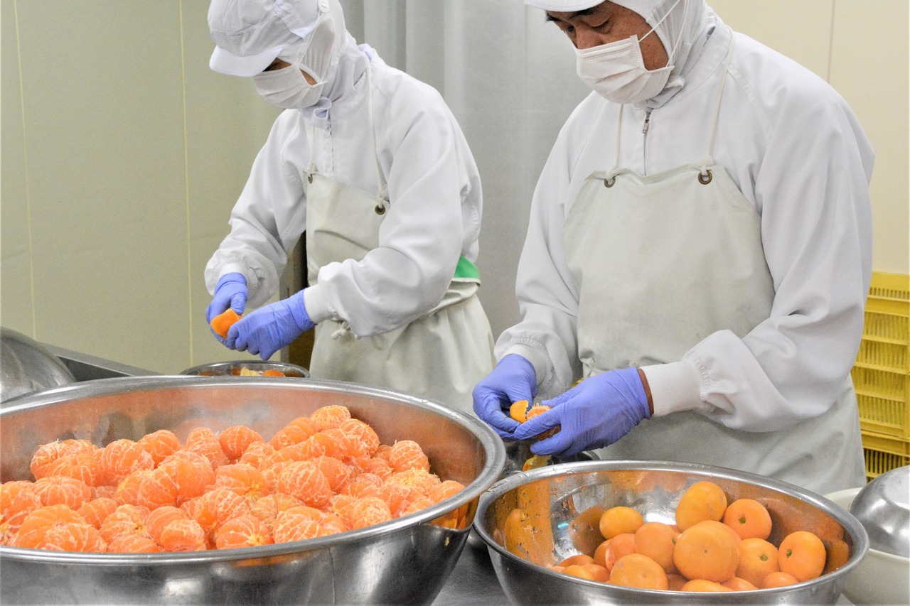 湘南とまと工房【添加物不使用】100%トマトジュース180g×5本・みかんジュース×5本セット・画像5