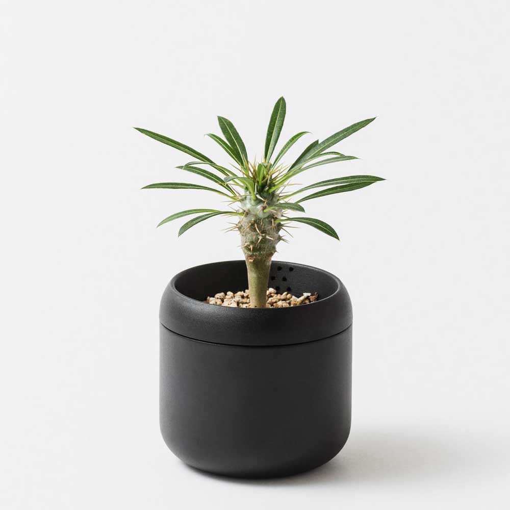 藤田金属 FUJITA KINZOKU PLANT POT HACHI ハチ プランターポット 2号