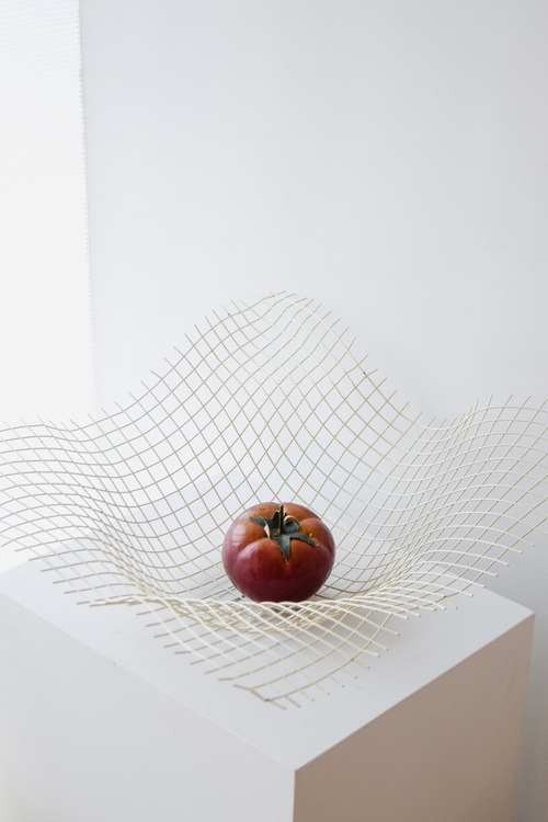 ワイヤーメッシュ