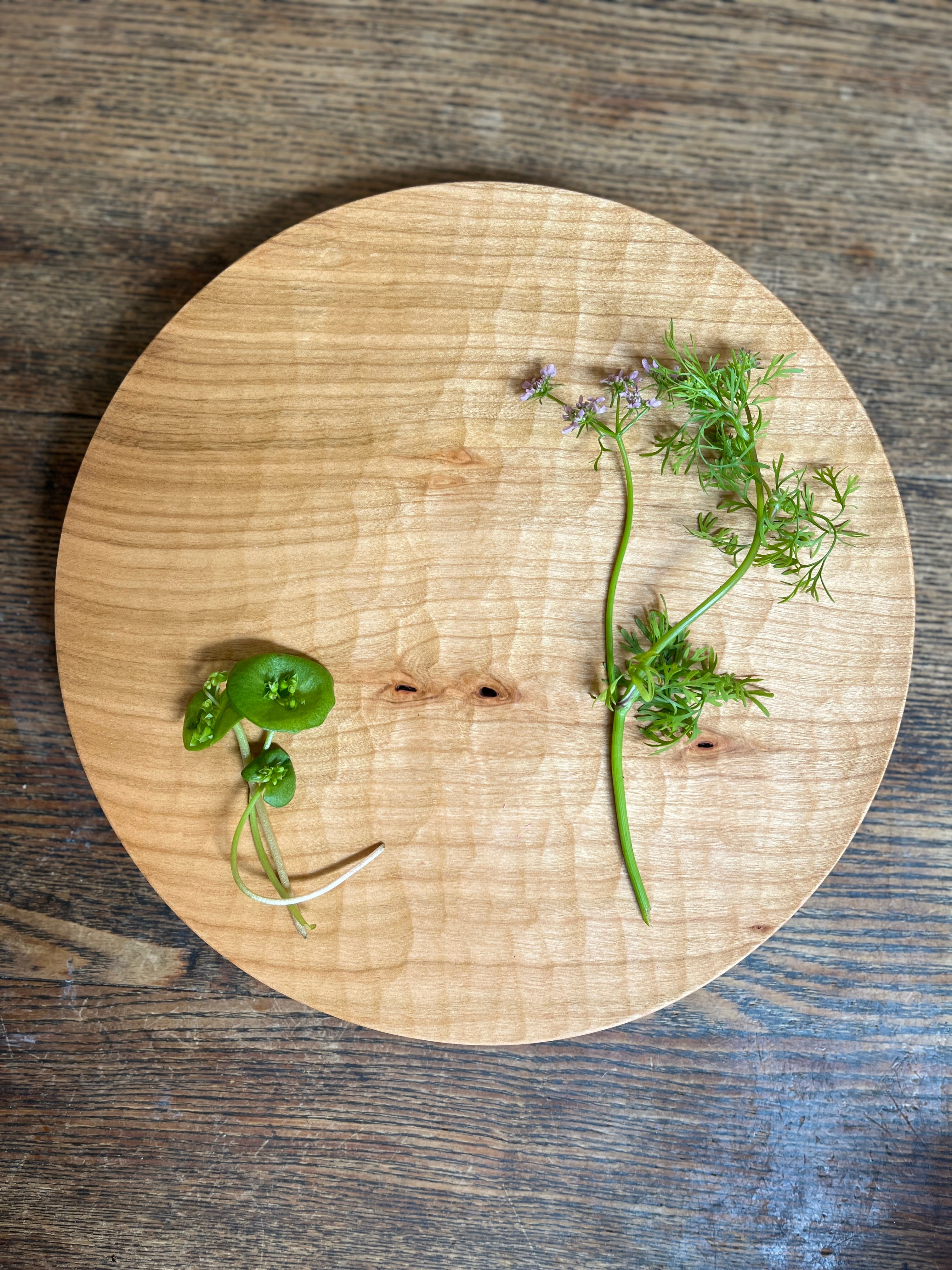 プレシャスメモリーズ 傷物語 デッキ