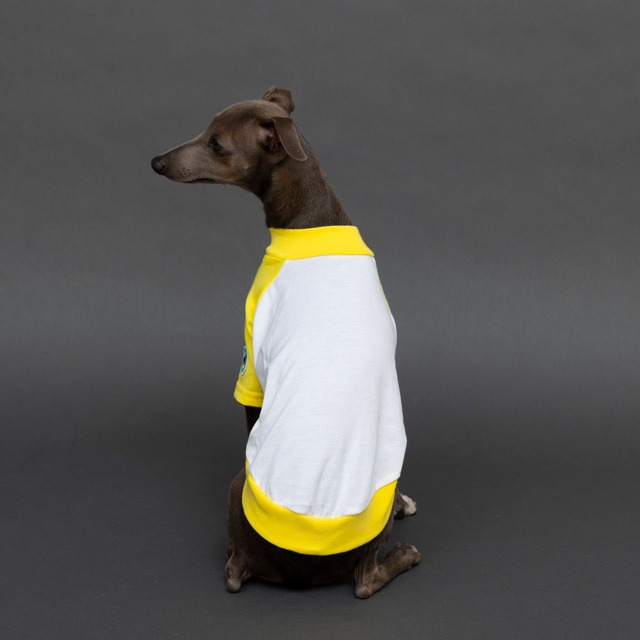 ラグランTシャツ　yellow / イタグレ服