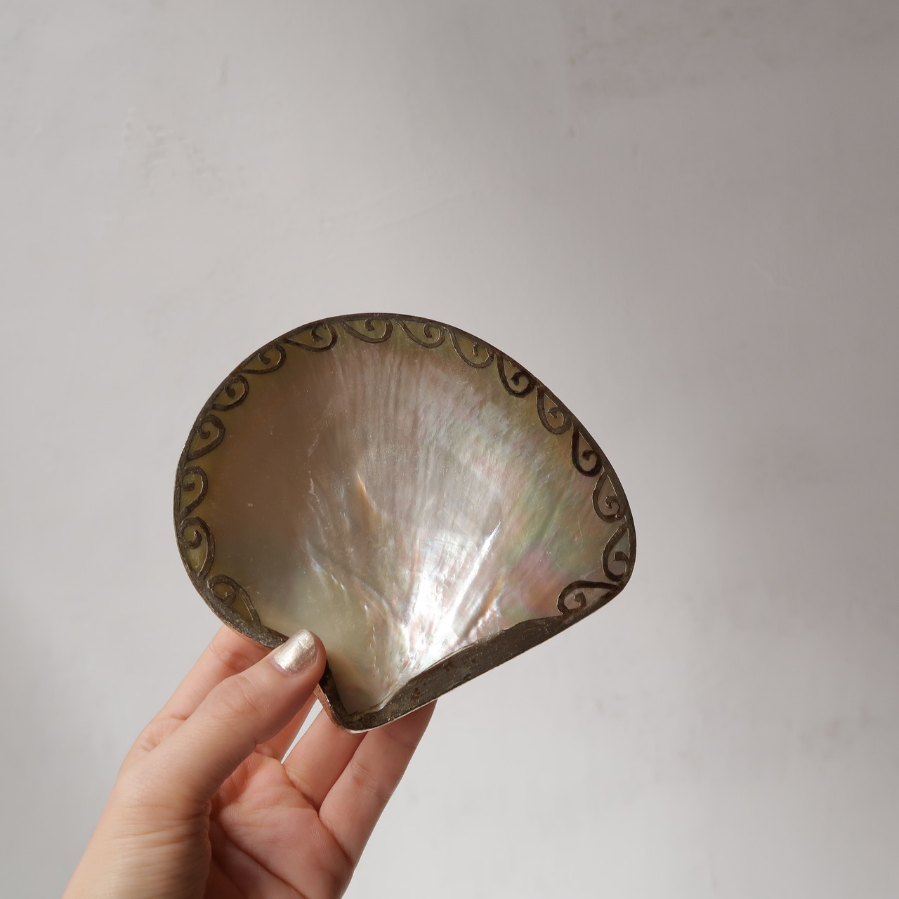 ぐるぐるシェルのトレイ