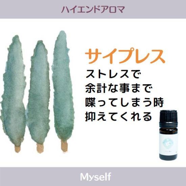 サイプレスエッセンシャルオイル/CY　5ml　【抗酸化アロマ製法】　男性的な木の香り　香水の原料としても使われている