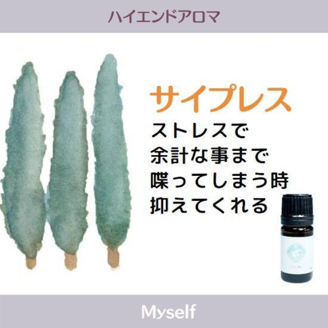 サイプレスエッセンシャルオイル/CY　5ml　【抗酸化アロマ製法】　男性的な木の香り　香水の原料としても使われている
