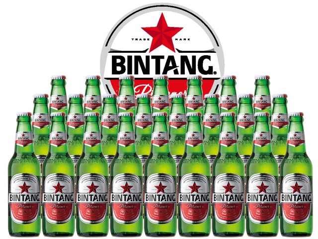 ビンタン 330ml インドネシア 海外ビール 1ケース24本