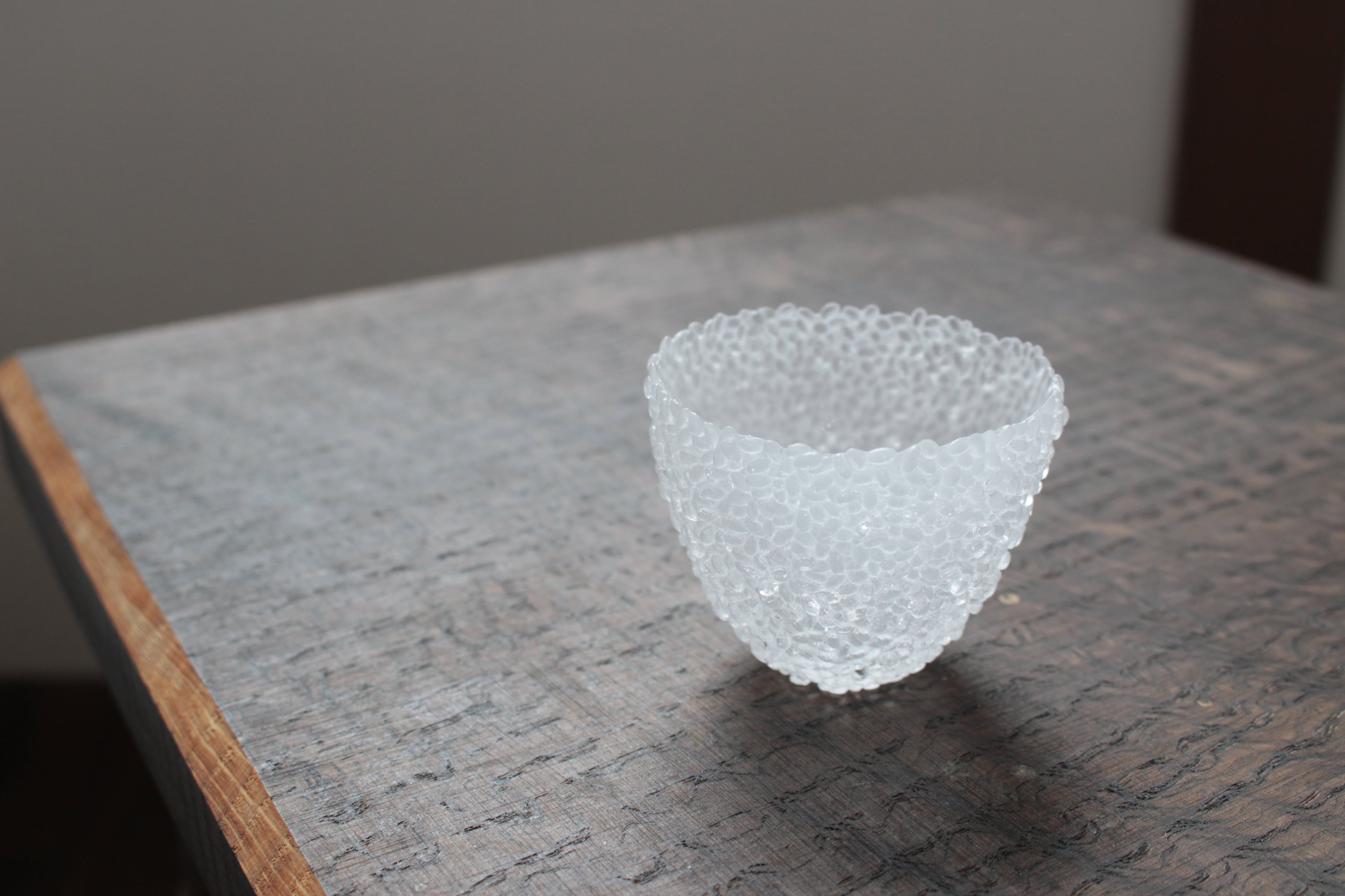 【藤村恵里】米猪口