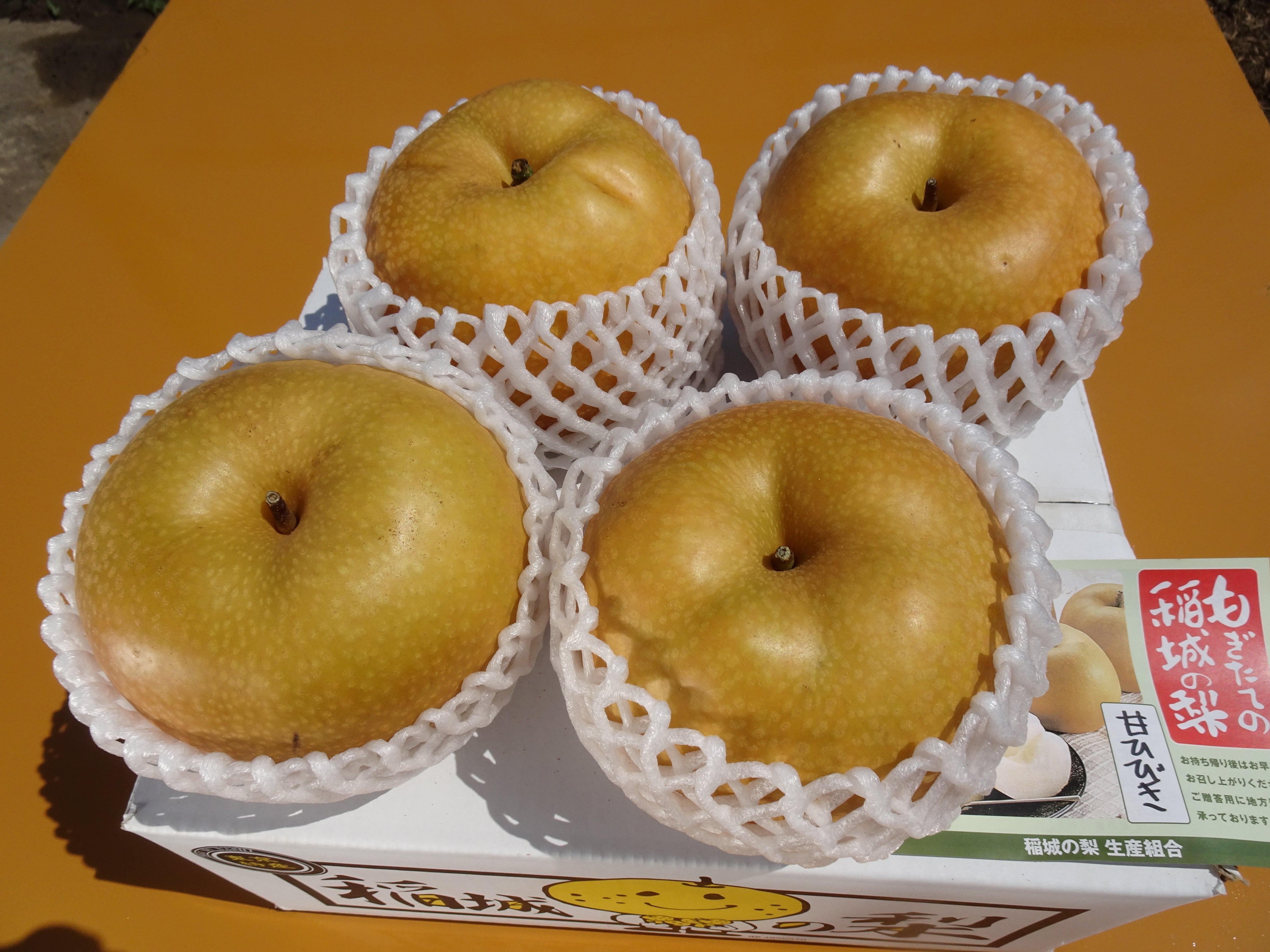 ⚠️うなぎ犬⚠️茨城県産　梨/甘ひびき　秀品/3キロ　大玉(6球) ⚠️うなぎ犬様専用⚠️茨城県産 梨/甘ひびき 秀品/3キロ