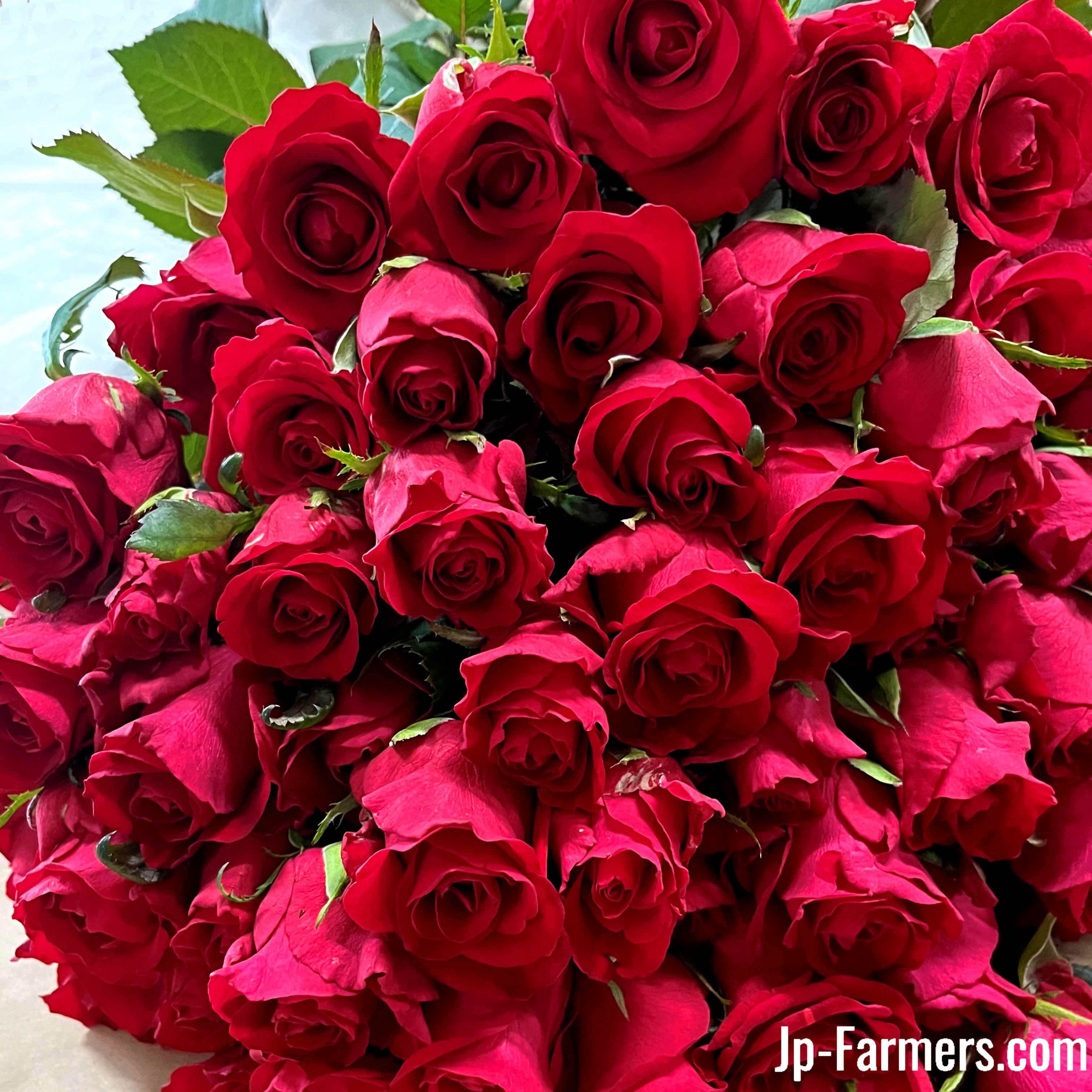 特別な贈り物 高級バラ アニバーサリーローズ ～記念の色・本数に