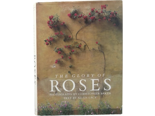 洋書◆薔薇の写真集 本 植物 バラの起源と歴史 伝承 用途 芸術 文学 洋書◇薔薇の写真集 本 植物 バラの起源と歴史 伝承 用途 芸術 文学