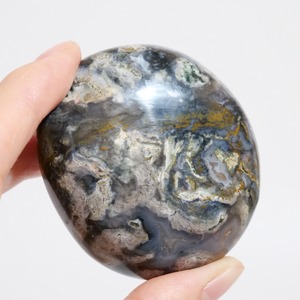 オーシャンジャスパー OJ / パーム