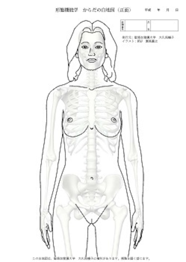 からだの白地図 女性(背面)