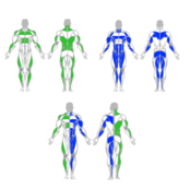 第13回RMTS-11/20-21 @東京開催-認定コース-RMTS-[ROTATIONAL MOVEMENT TRAINING® Specialist] CERTIFICATION