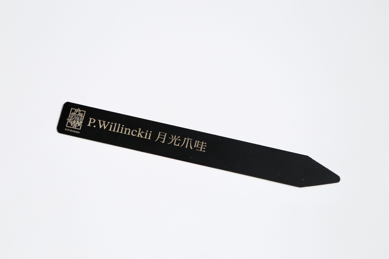 Order Made Plants Name Tag (Black)