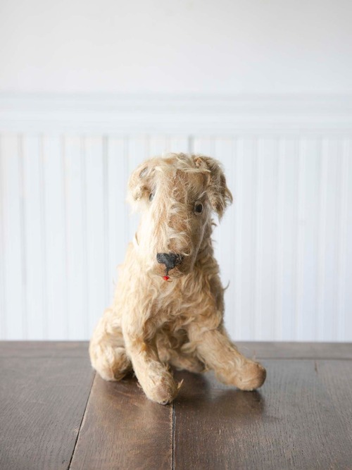 1930-1950`s　Vintage　Dog＜ぬいぐるみ・ヴィンテージドッグ・フランス蚤の市＞
