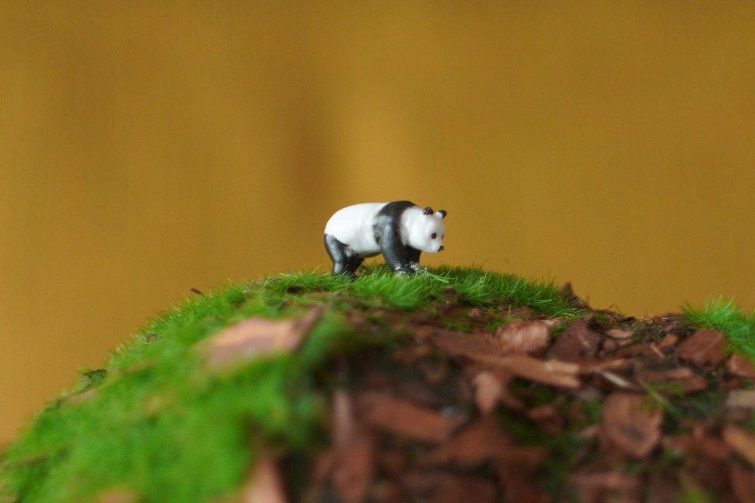動物 | 苔モストア