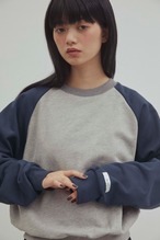 DU250728  Raglan Sleeve Sweat