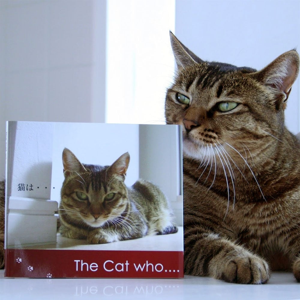 【送料無料】ミニフォトブック The Cat who....1冊【人気猫ブログ本】猫のアイシス ザ キャット フー
