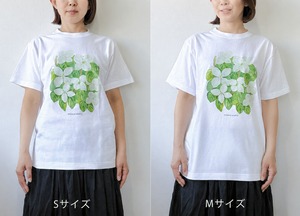 水彩画を着るTシャツ　「ハルジオンの頃」gray
