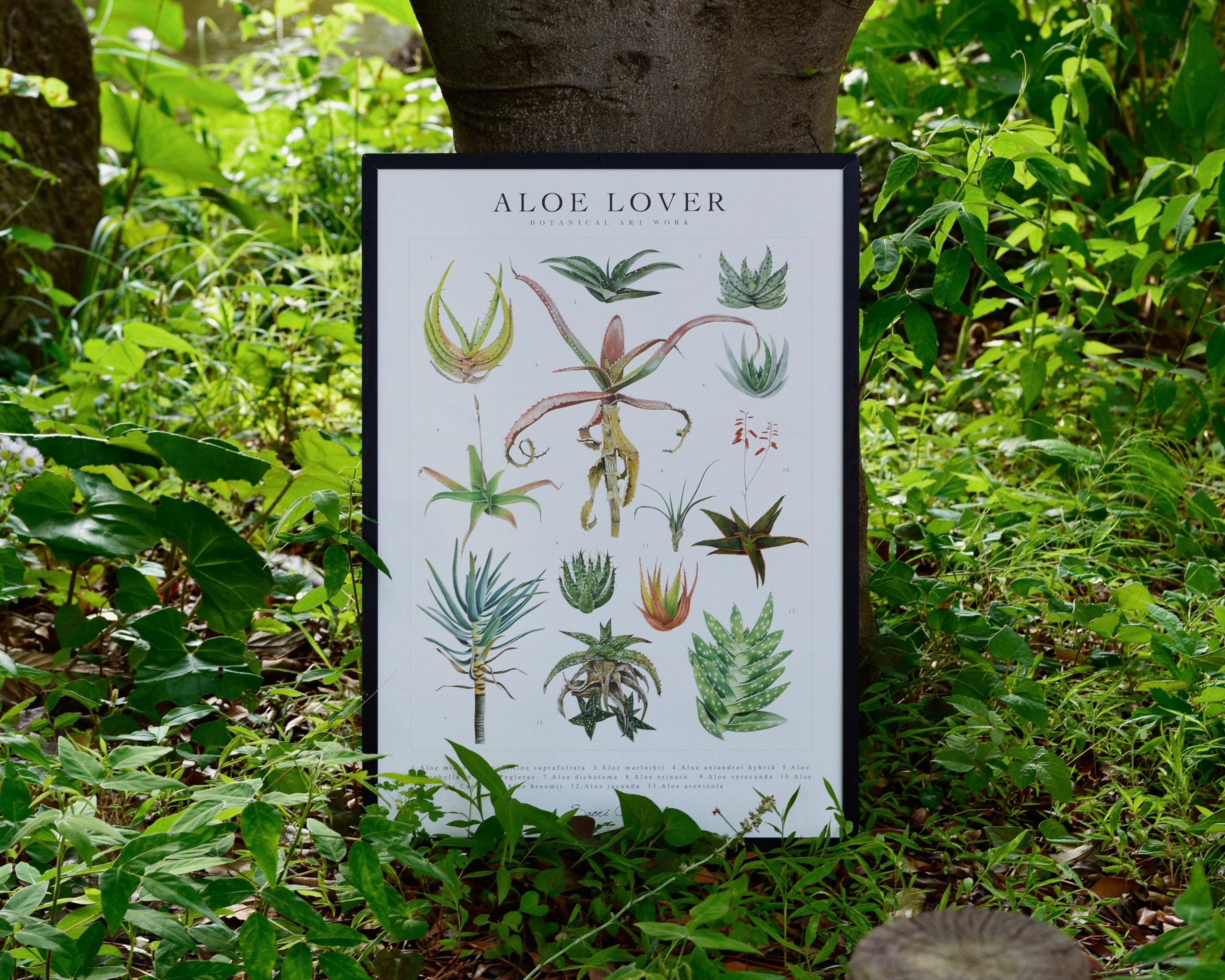 Aloeポスター Vol.5